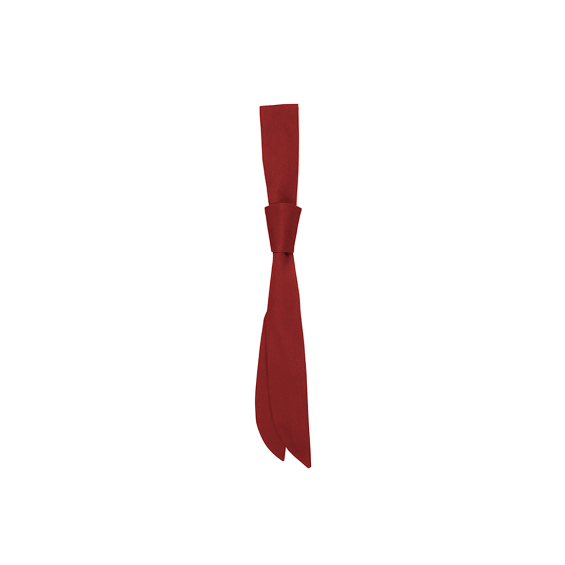 Cravatta servizio - Abbigliamento di protezione