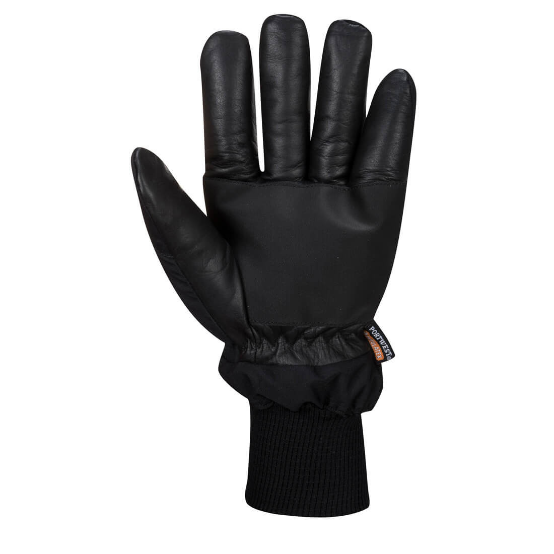 Apacha Cold Store Glove - Personal protection