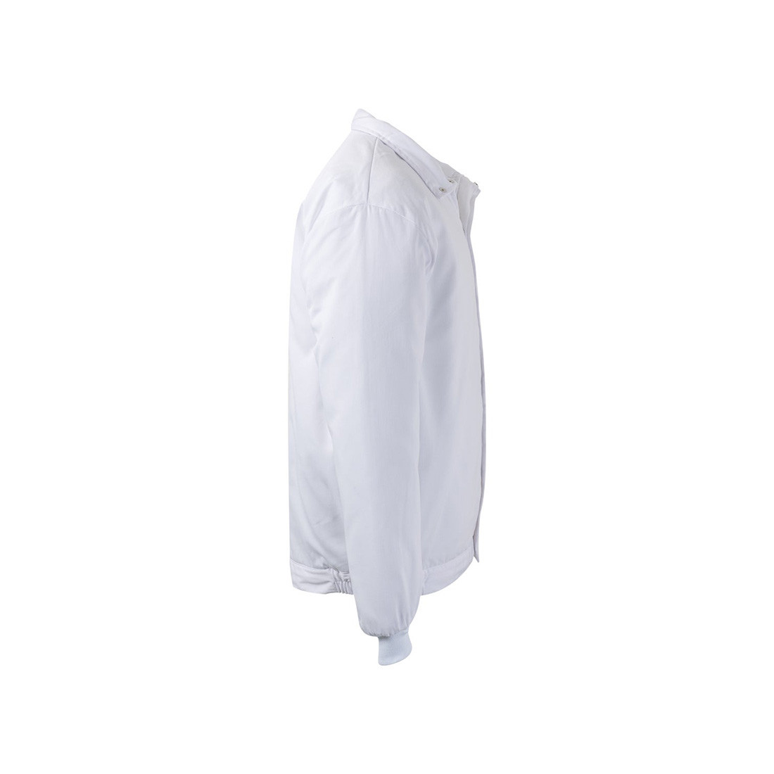 Food industry Padded Jacket - Safetywear Food industry Padded Jacket - Safetywear