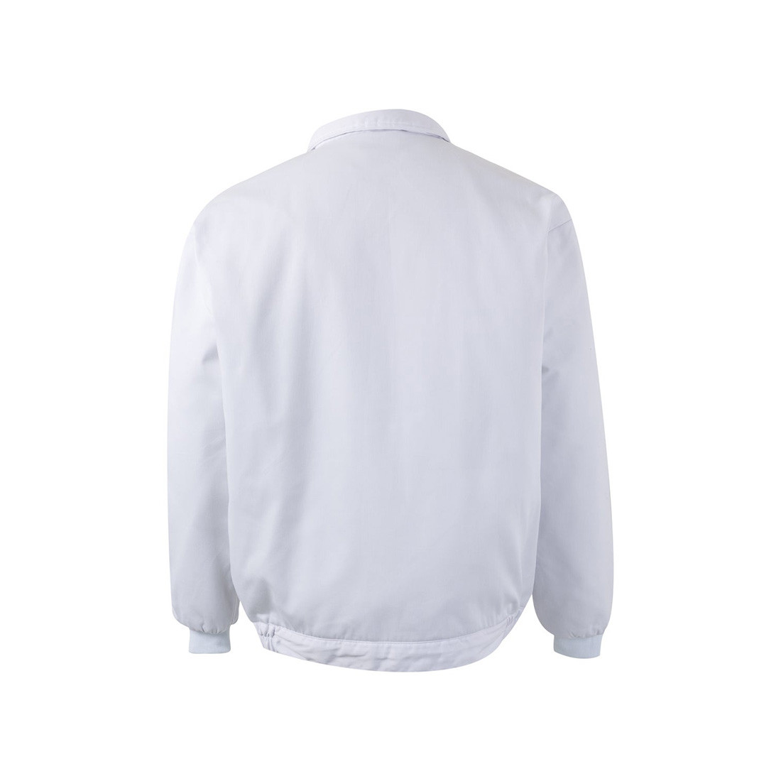 Food industry Padded Jacket - Safetywear Food industry Padded Jacket - Safetywear