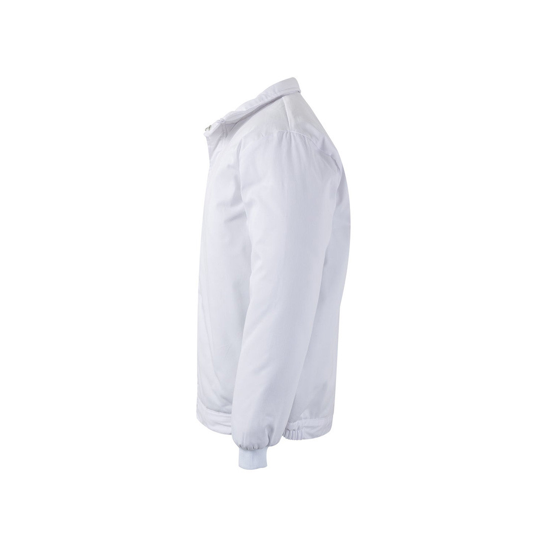 Food industry Padded Jacket - Safetywear Food industry Padded Jacket - Safetywear