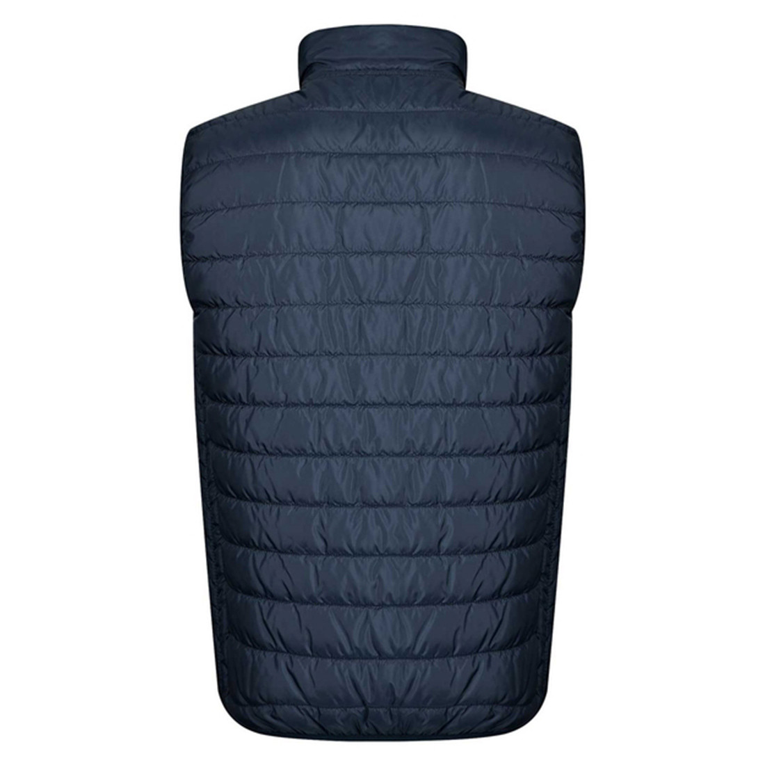APOLLO Vest - Safetywear